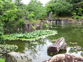 Ninimaru Garden