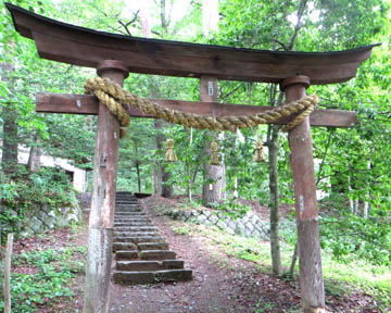 An ancient torii gate marks the path to a shrine